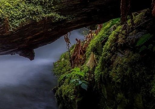 心灵终结：私聊与玩法全解析