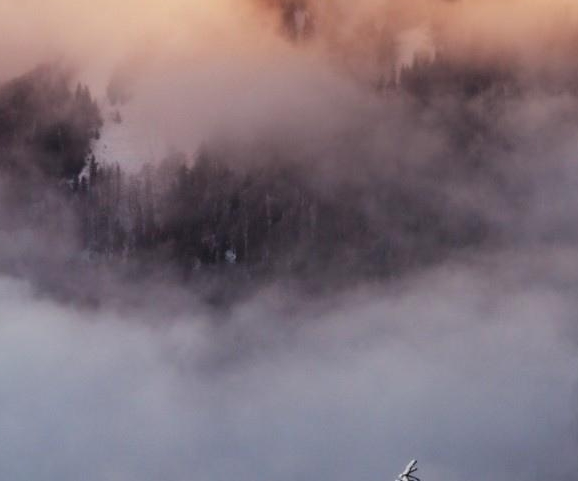 深圳职业技术学校录取线