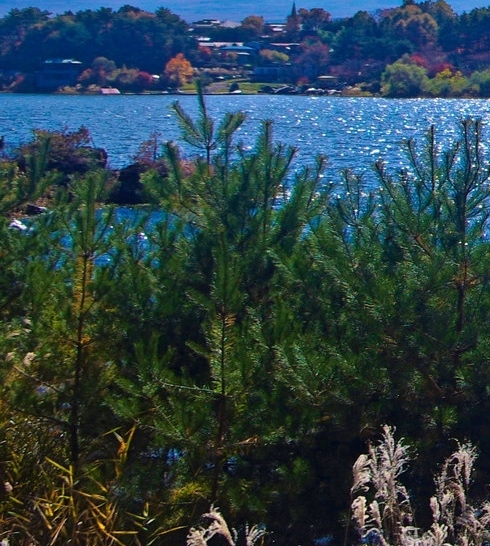 湛江电商创业基地