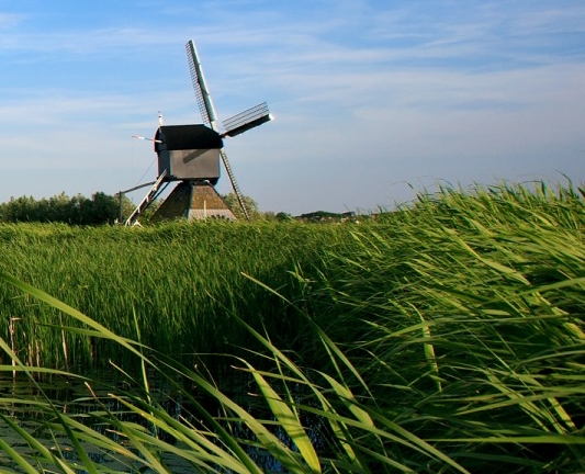 北京真爱中国餐馆