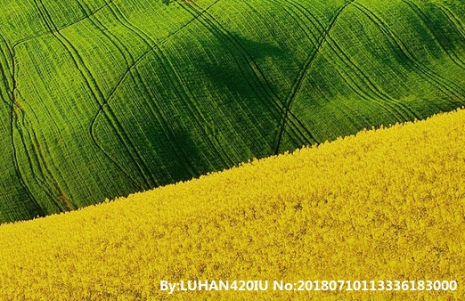 同城核心怎样才能通过