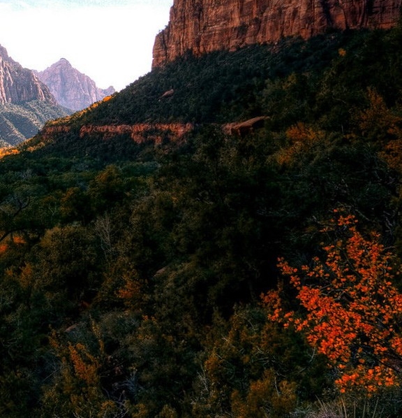 科技对冬奥的力量感悟