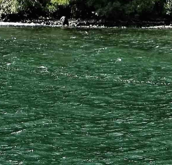 深圳职业技术学校自主招生