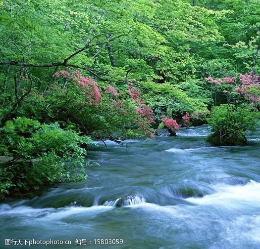 东日本大地震引发海啸：灾情严重，救援持续进行