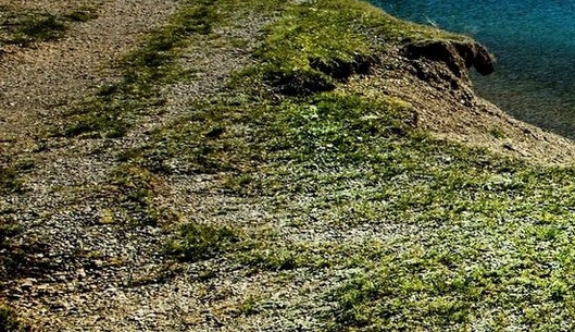 海洋世界绘画