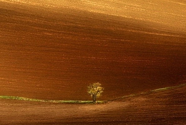 极米科技最新消息