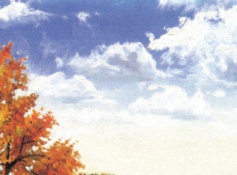 新供销金誉电子科技有限公司