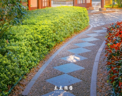 塔里木河全长2400公里，是中国西部最大的内陆河流