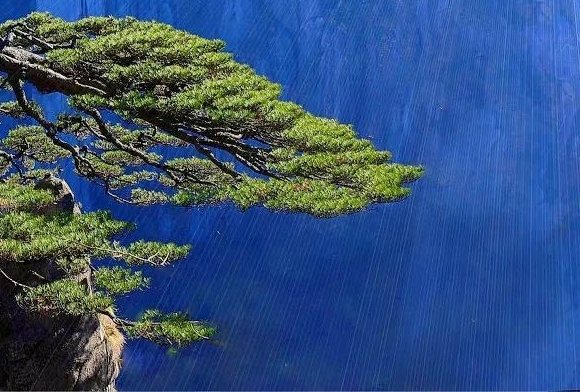 小李科技学,制作沙雕机器