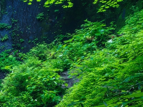 超野世界：挑战极限，探索未知跑野世界：奔跑自由，感受大自然
