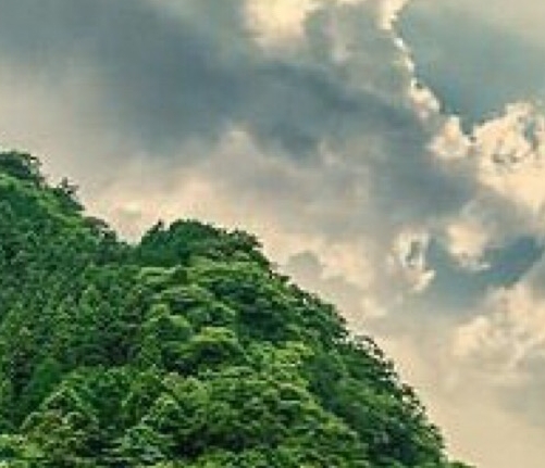 景洪客房装饰价格