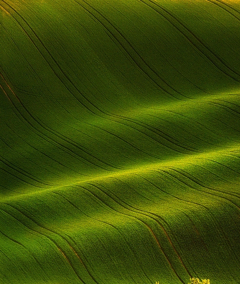 心灵的觉醒