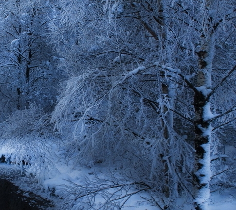 世界任务可以一起做吗