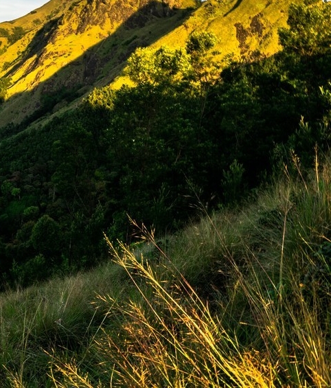 相机元素创意logo