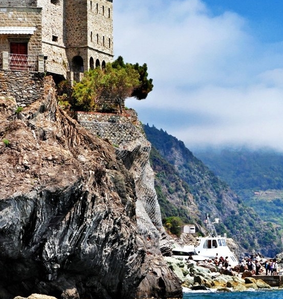 倾听大自然的智慧作文