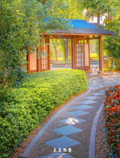 泼水节是几月几日