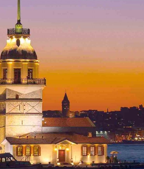 不同角度的梅花拍摄