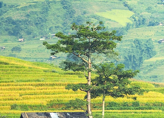 职场必备技能