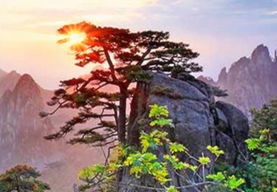 五菱科技电动车官网