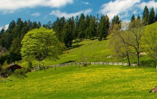 朱村科教城中轴广场