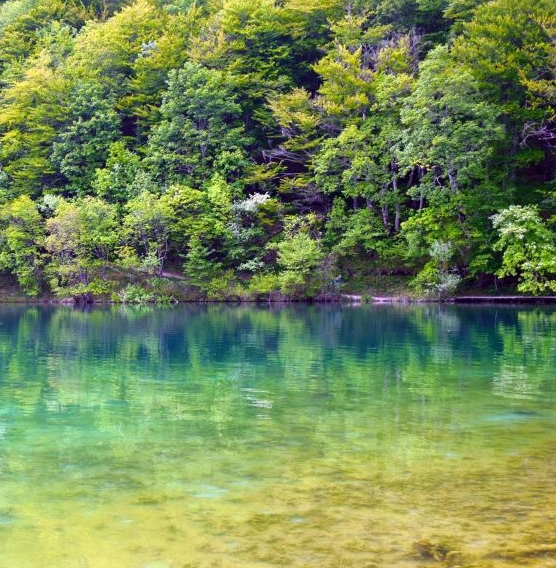 揭秘魔术世界虚实与反向空间魔术师：简纶廷FISM全面解析