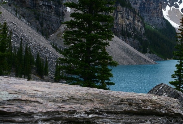 侏罗纪世界37辉哥