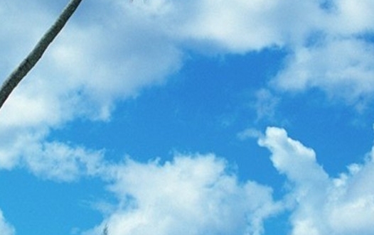 核心力量最好训练方法