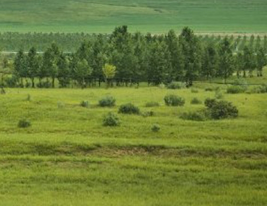 创意布包手绘图案