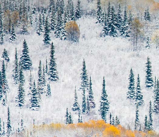 科技布分等级吗