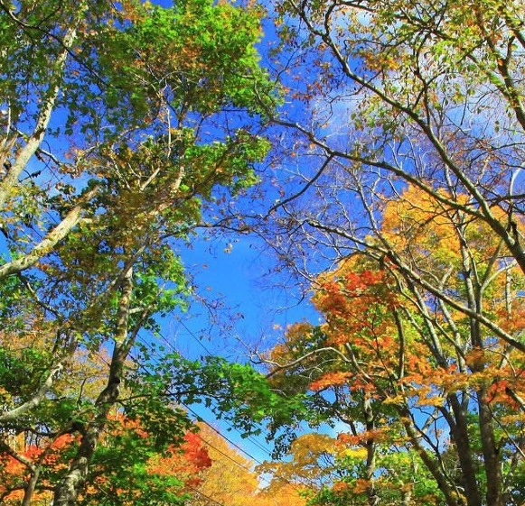 兴县属于山西哪个市