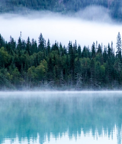 世界发色有哪些