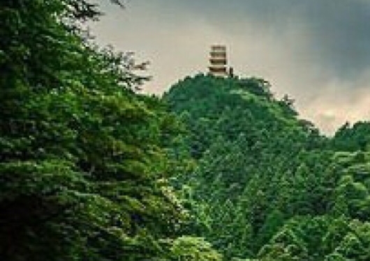 创意拍照道具图片