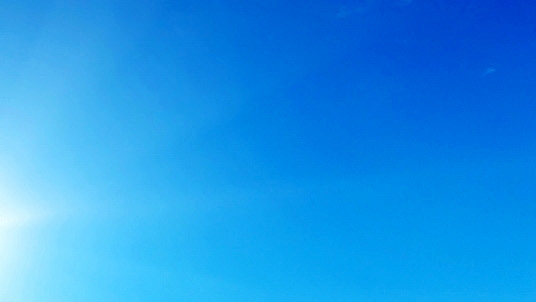 千万别养雪纳瑞