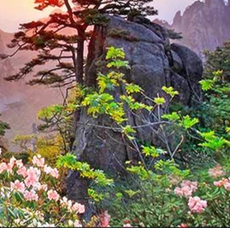 心灵奇旅人生哲理