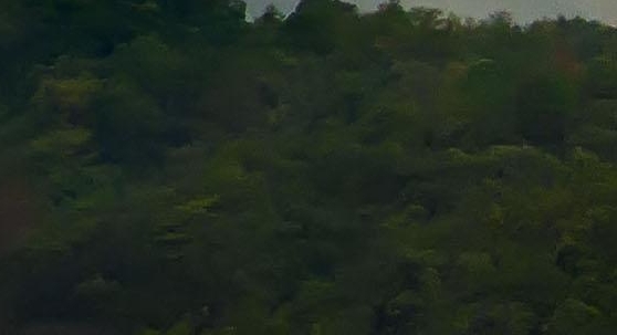 电商购物投诉渠道