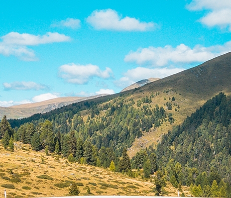 核心危机技能搭配