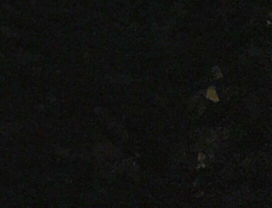 春节晚会主持人10秒倒计时