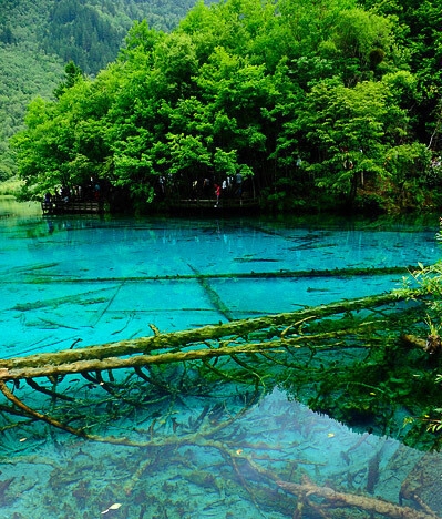心灵重启