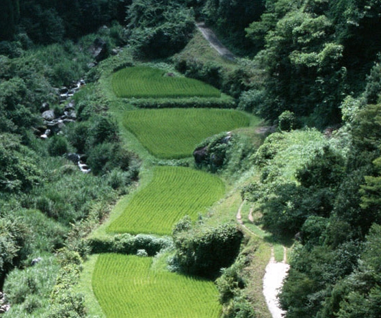 美丽假期酒店大岗