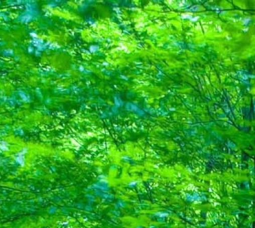 创意车载熏香机，让你的车内充满芳香气息