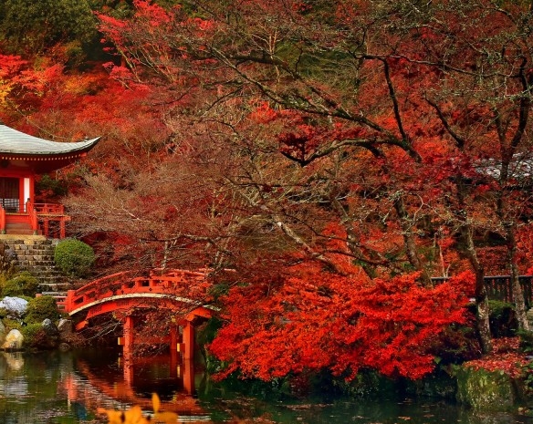 情感主播背景图高清