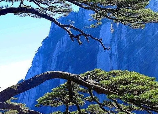 机锋世界20219：与精灵旅行共同探索未来