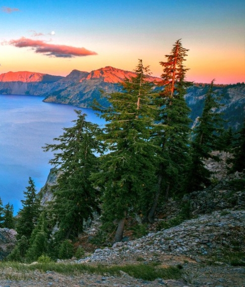 ai绘制创意铅笔