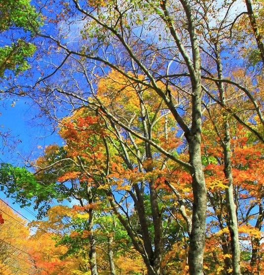 跨境电商平台产品拍摄特点