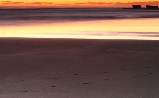 心灵导师是什么职业