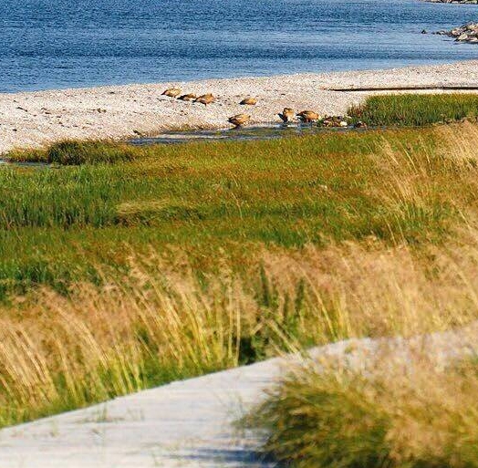 属于内容运营核心环节的是