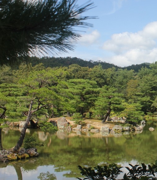 北京老牛电商
