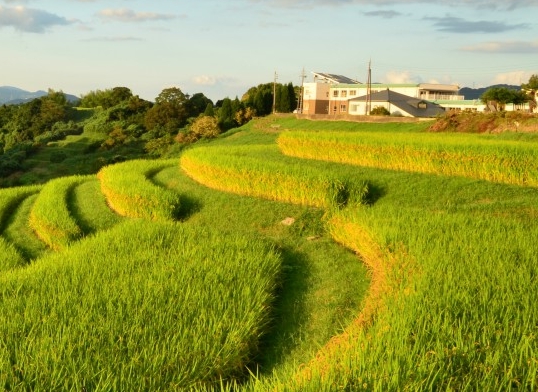 冰原世界的海参价格比北冰原冰川的要高