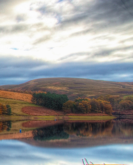 原神的核心卖点