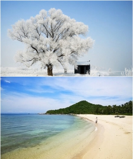 战胜脑癌，治愈的希望在哪里？